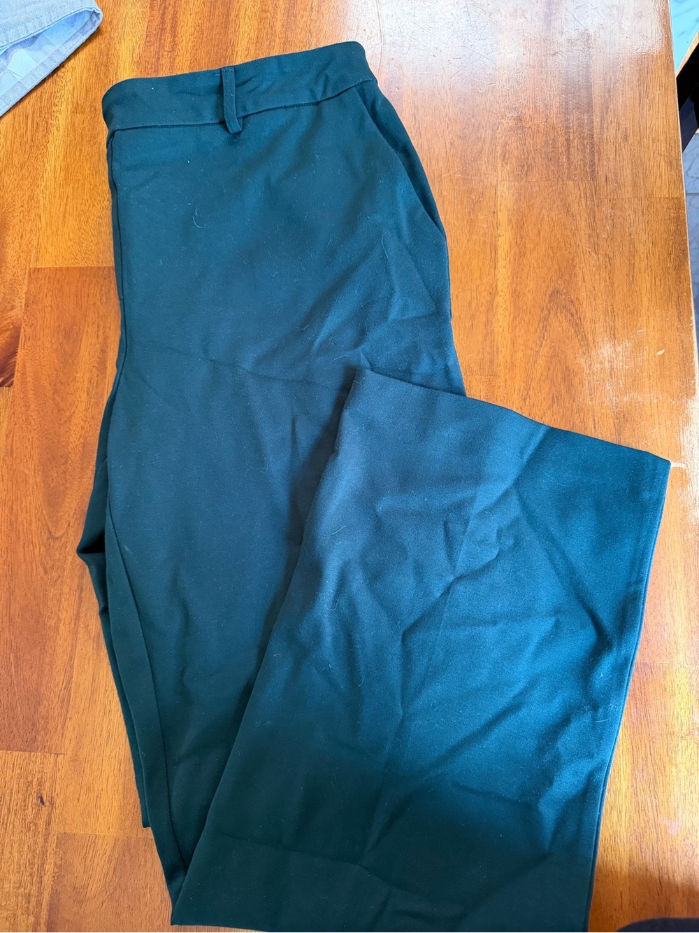 Hilary Radley Dress Pants